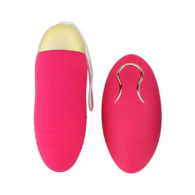 Factory Silicone USB Charging Vagina Clitoral Remote Control Vibrator Egg Sex Love Toy for Women