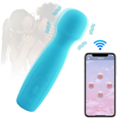 Multi Speed Rechargeable Body Personal Massage Wand Massager Products for Women Sex Toys