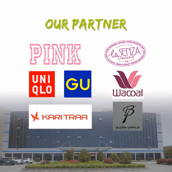 Seamless Men Nylon Boxer Lingerie