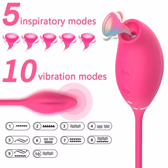 APP Remote Control Sex Toys for Female and Couples Vaginal Masturbation Vibrators