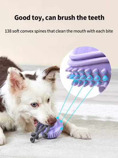 3 in 1 Sucking Vibrator Vibrating Sucker Anal Vagina Clitoris Stimulator Wearable Oral Suction Erotic Sex Toys for Women